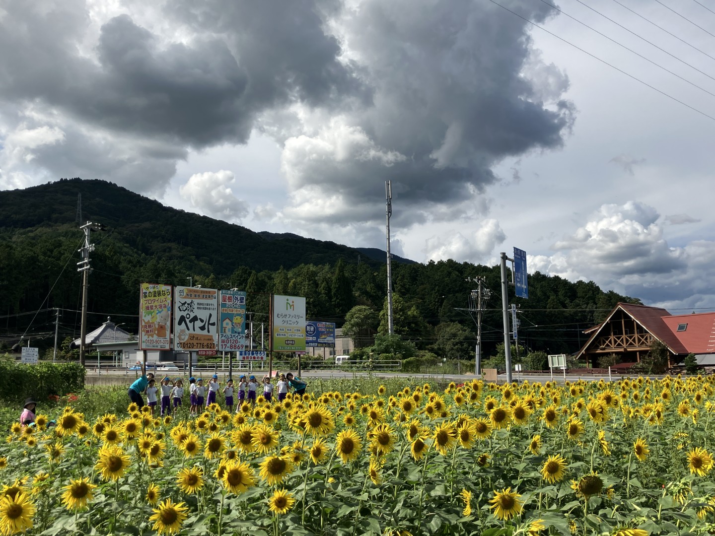 池田町のひまわり畑に行きました