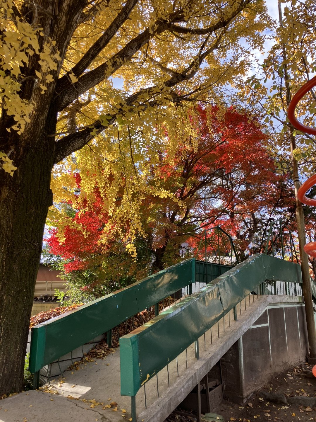 わくわくタイム（11/24週～）