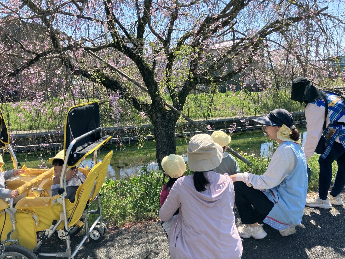 お花見園外保育（未満児クラス）