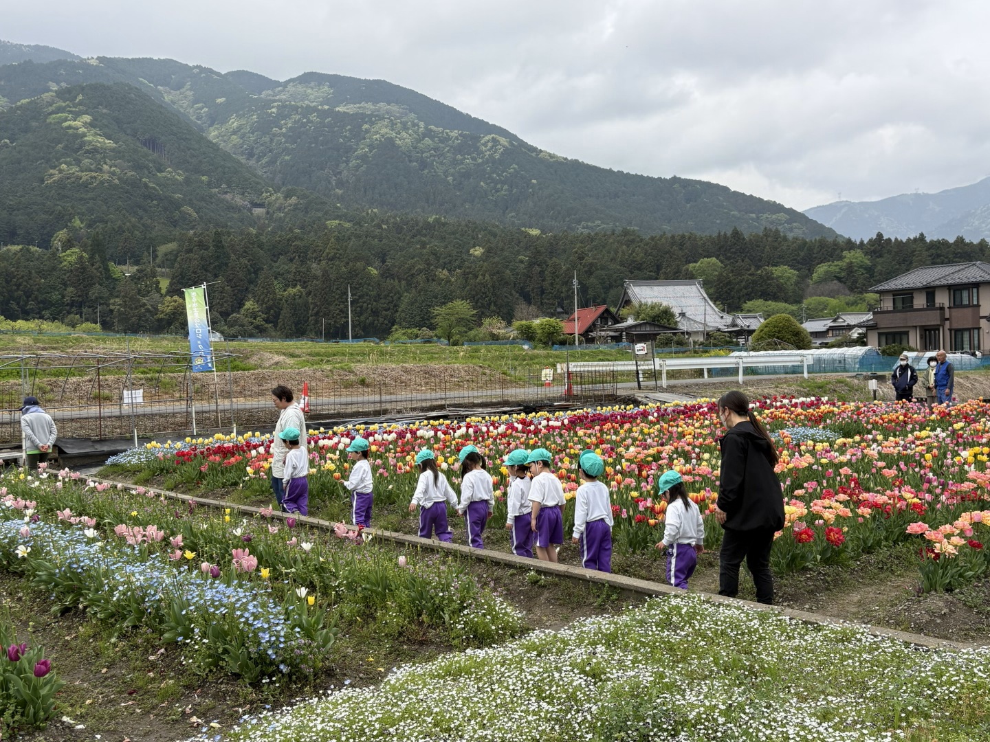バスに乗ってチューリップ畑へ