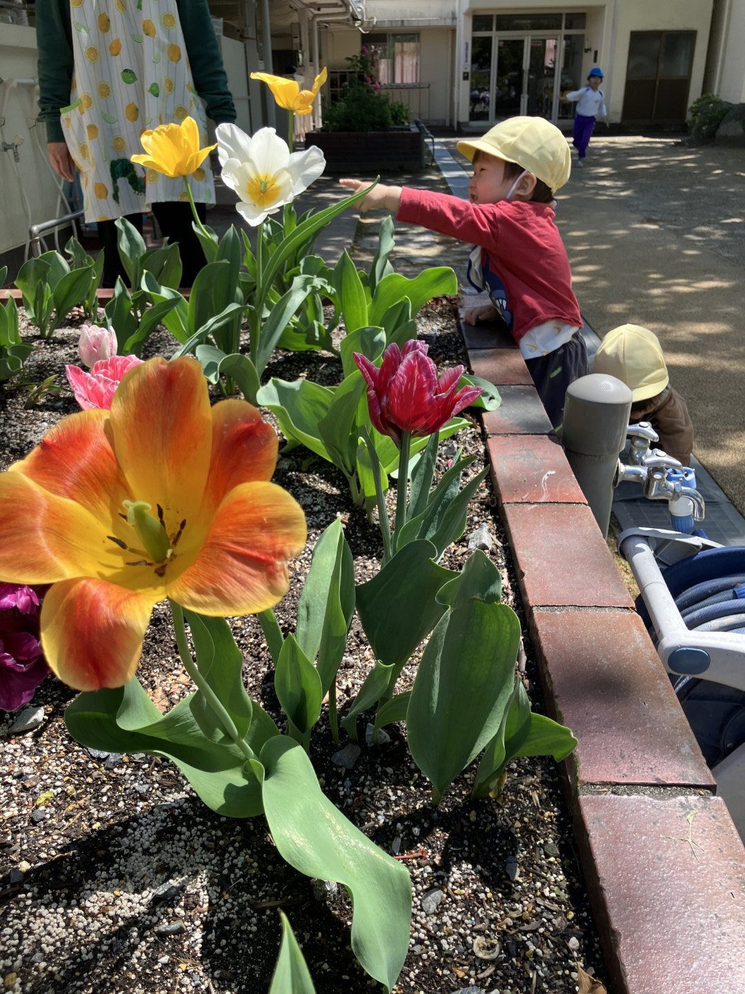 ことり組とうさぎ組の活動